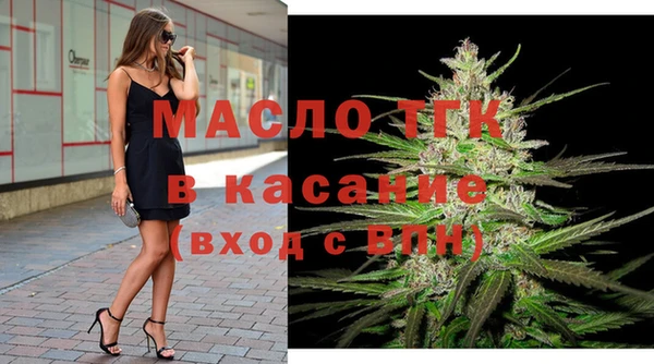 гидра Рославль