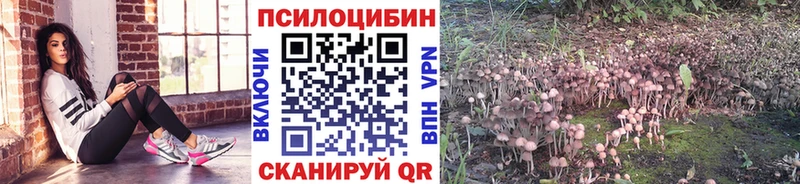 kraken сайт  Разумное  Галлюциногенные грибы ЛСД 